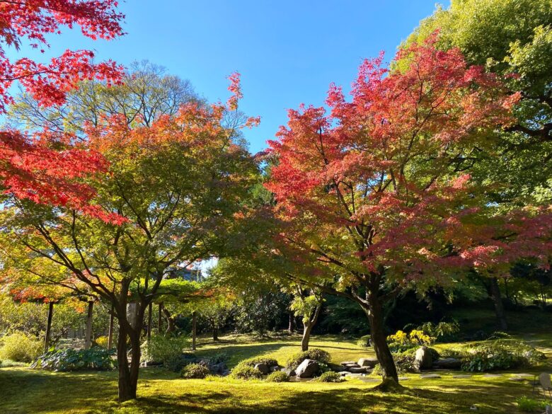 城南宮の平安の庭の紅葉と苔の庭
