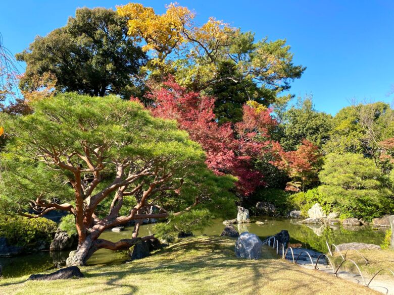 城南宮の室町の庭の松と紅葉